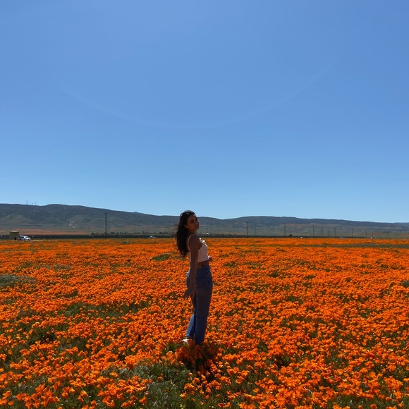 Meet your Posher, Shir - Picture 1 of 1